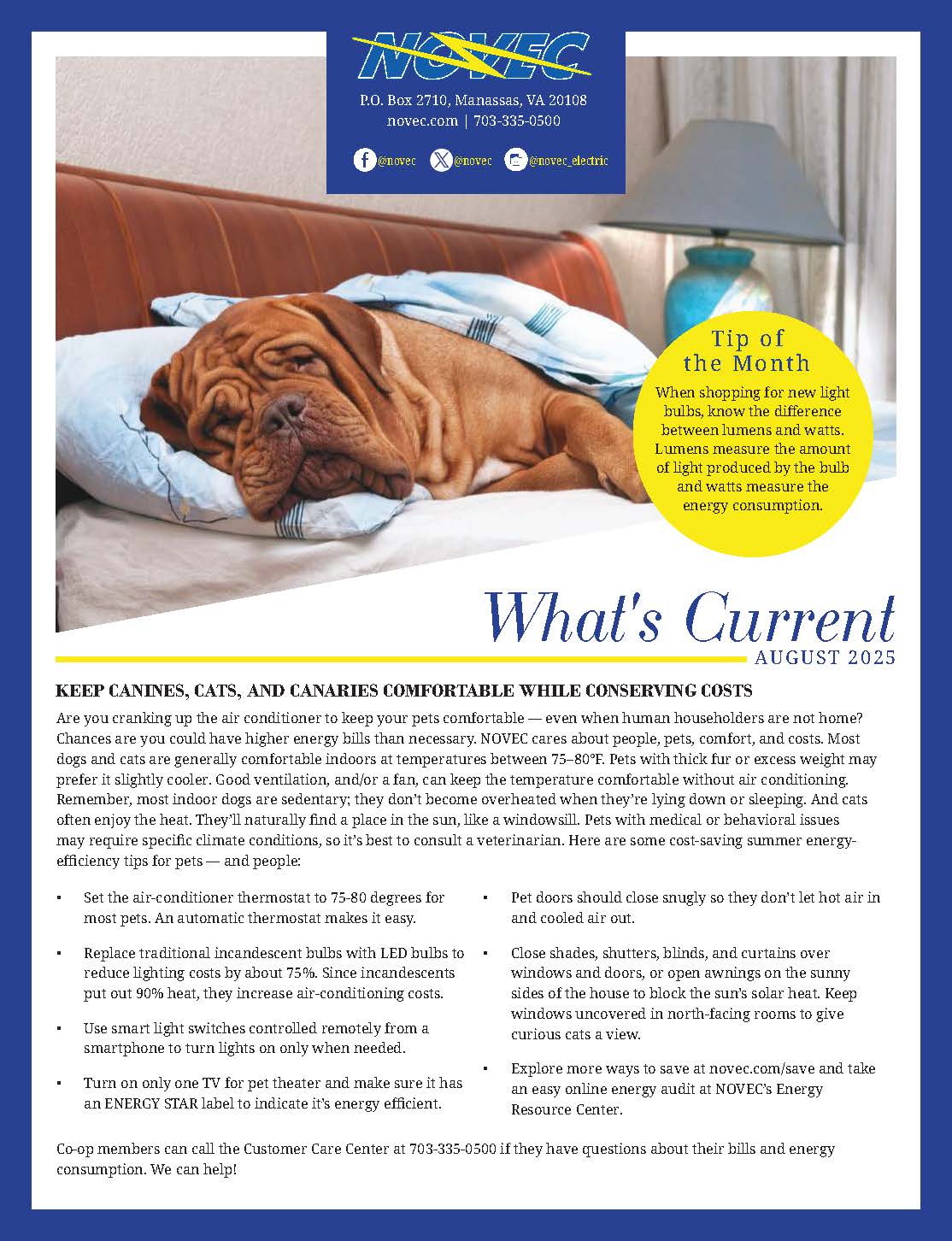 August 2025 What's Current Cover