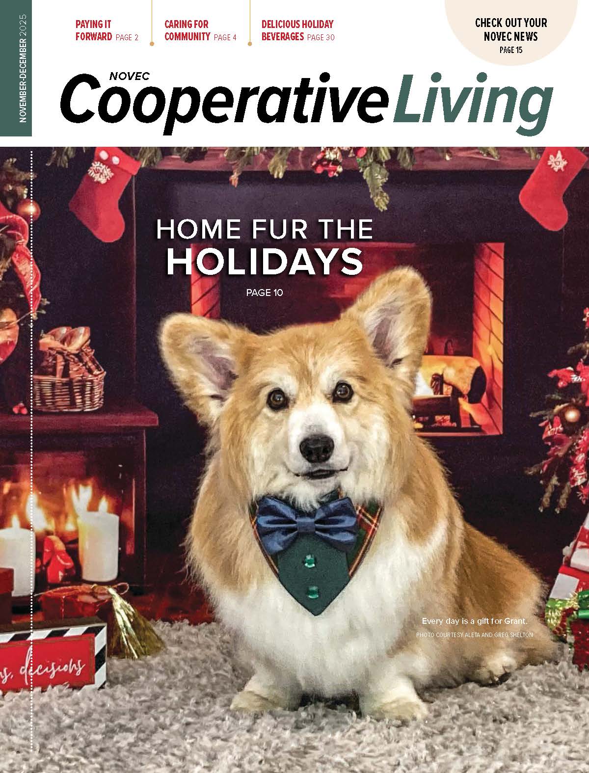 Coop Living NovDec Cover